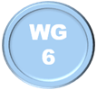 WG6